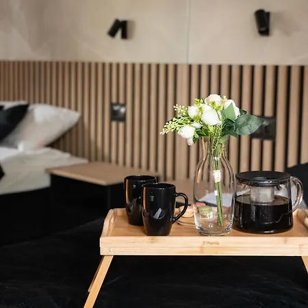 Prestige - 64m2, Parking, Office - By Rentujemy Apartament Łódź